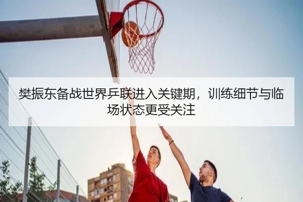 樊振东备战世界乒联进入关键期，训练细节与临场状态更受关注